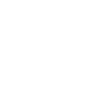 IVI Data Science